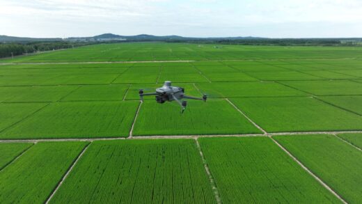 Drony w rolnictwie