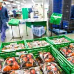 Rozwiń swój biznes: Hurtownia spożywcza jako pewny partner 4
